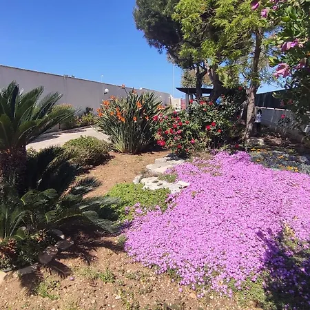 Apartament Seagull Sea & Airport Bari