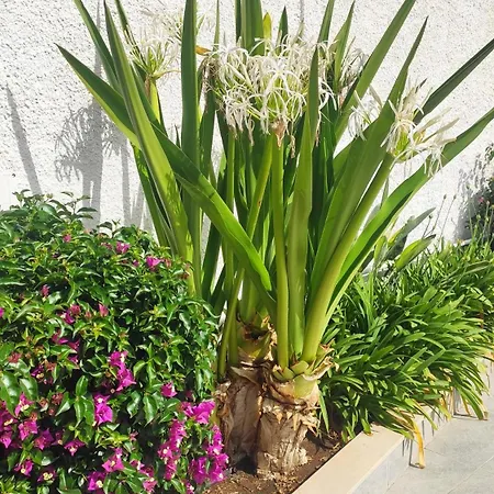 Apartament Seagull Sea & Airport Bari